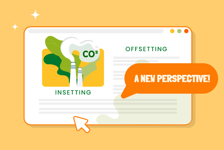 Carbon Offsetting and Insetting