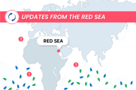 Updates From The Red Sea